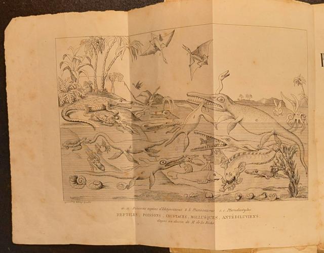 LETTRES SUR LES RÉVOLUTIONS DU GLOBE